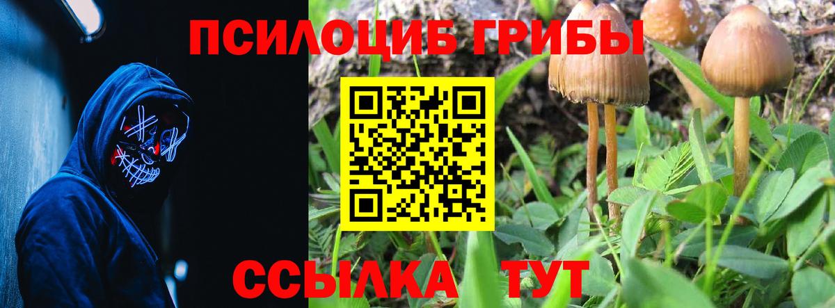 Галлюциногенные грибы Psilocybine cubensis  Вход с VPN  Галлюциногенные грибы Magic Shrooms  Дедовск 